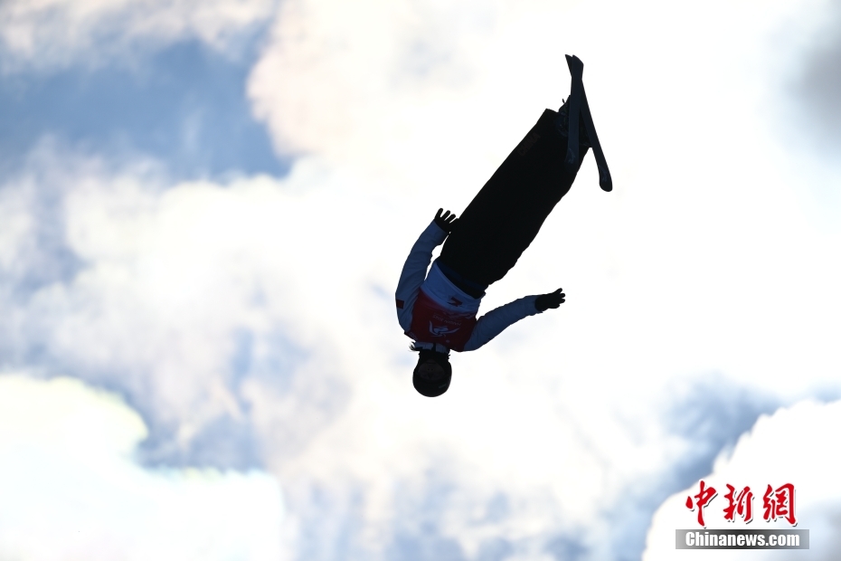 中国队金牌数实现显著断层领先，哈尔滨亚冬会